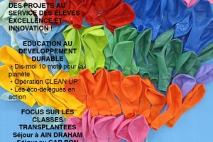 verlaine-info